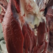 新疆新鲜牛肉牛肚