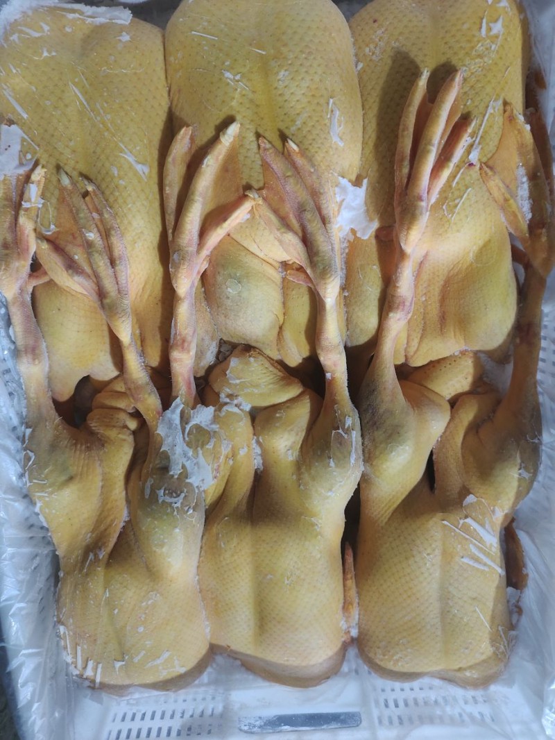 黄皮鸭批发山东临沂市黄皮鸭价格_肉交所