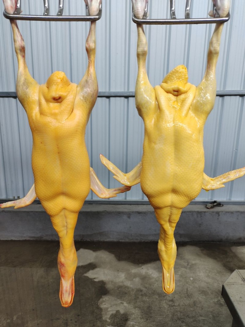 黄皮鸭批发山东临沂市黄皮鸭价格_肉交所
