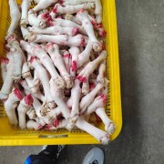 羊蹄