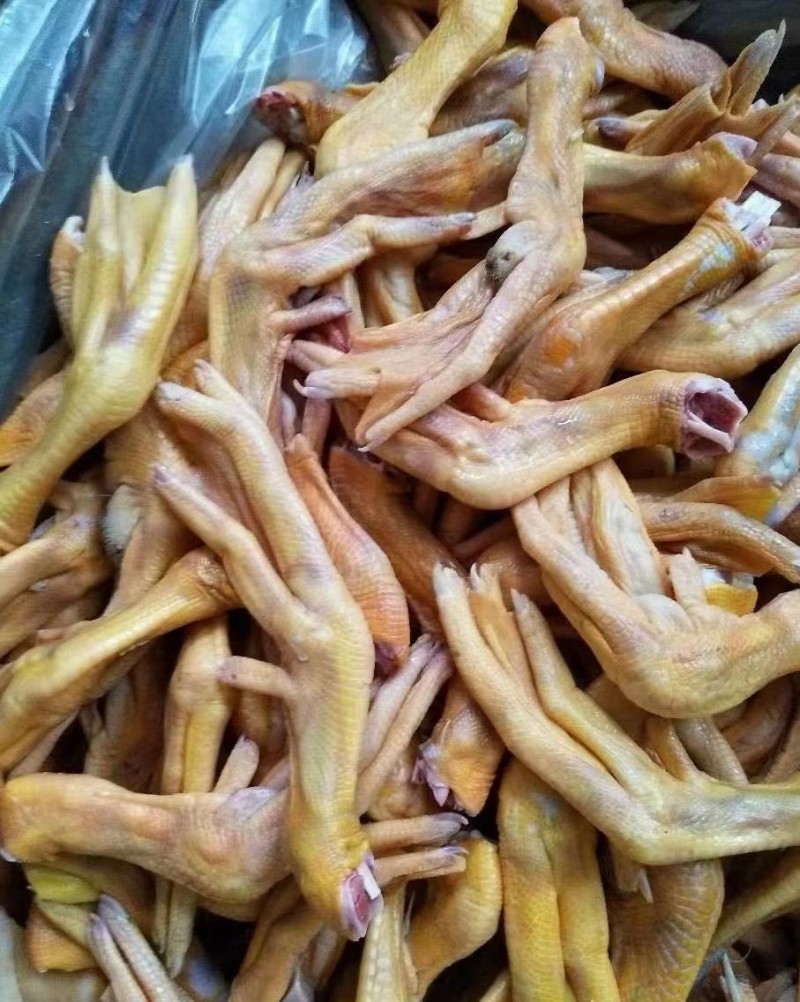黄皮鸭爪批发山东聊城市黄皮鸭爪价格_肉交所