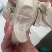羊蹄
