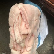 吉林肥膘