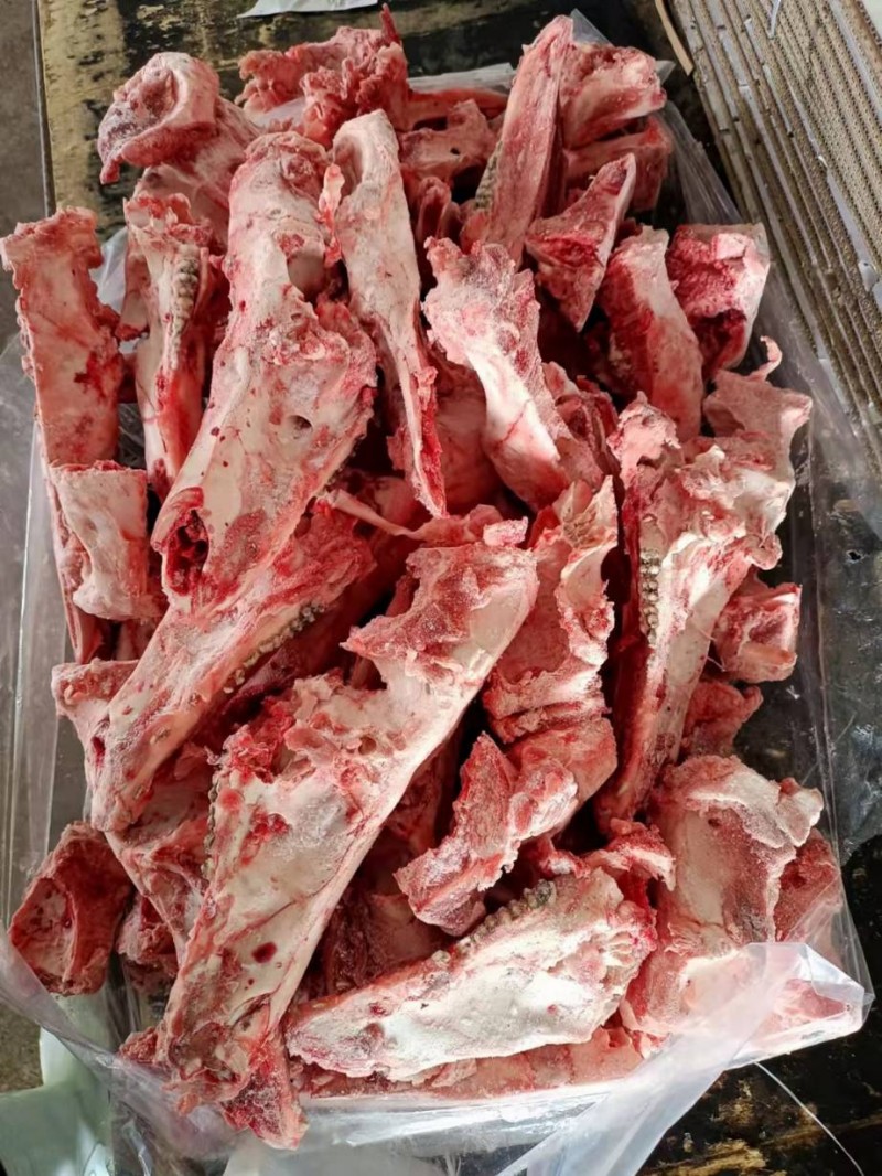 图片展示生猪头骨有货详细说明