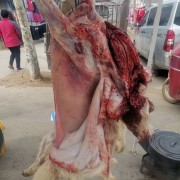 羊肉