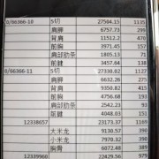 23厂背肩cl