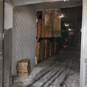 冻小鸡肫