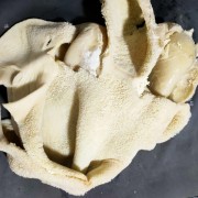 水退全熟牛肚