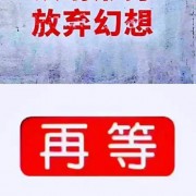 42厂小米龙