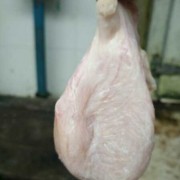 小肚