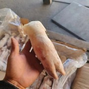 猪蹄