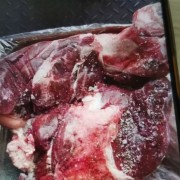 美国进口牛肉