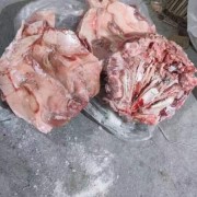 猪头