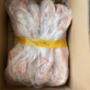白条仔鹅