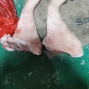 猪副