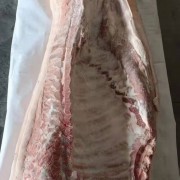 冻白条