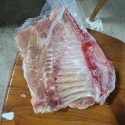 毛排