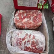 177背肩