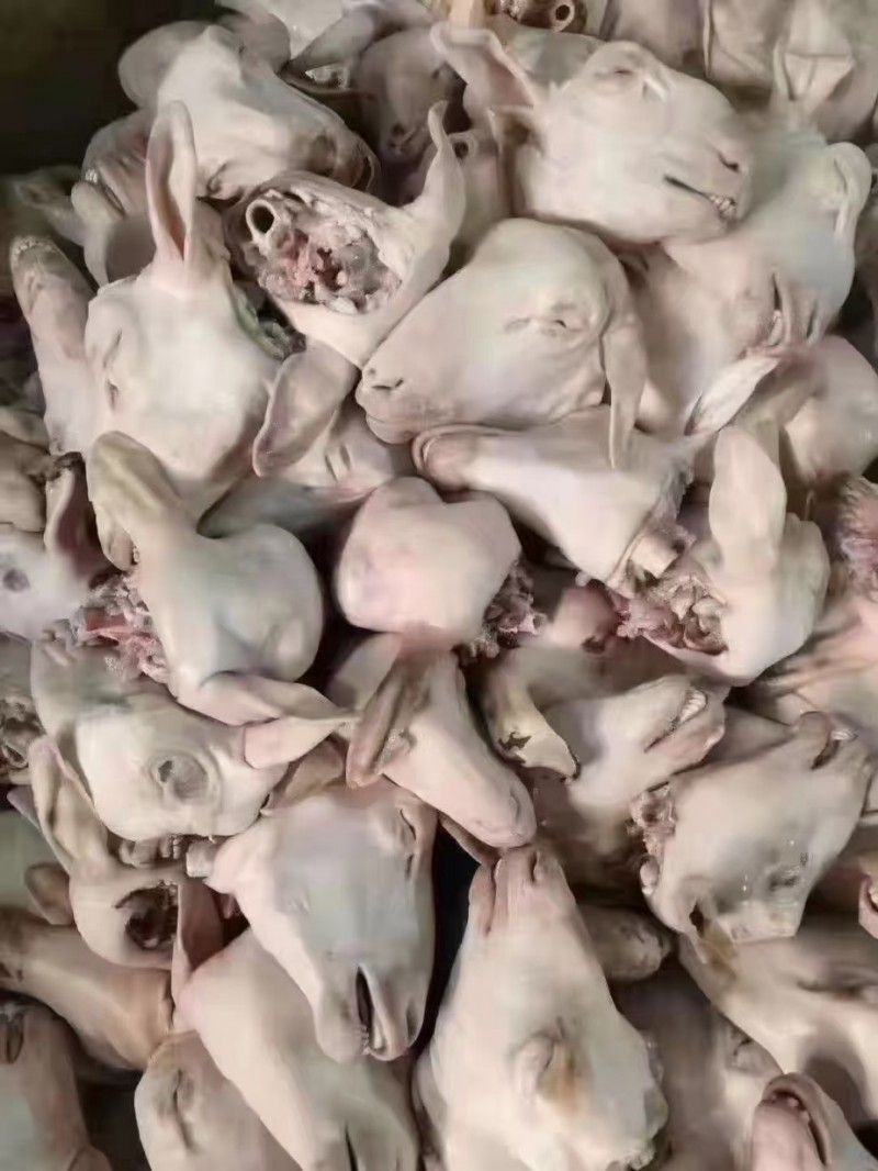 羔羊羊头批发河南郑州市羔羊羊头价格_肉交所