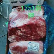 1751肩胛