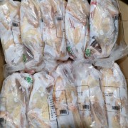 福建中小正番母鸭