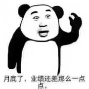 2543龟排腱