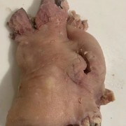 牛头肉