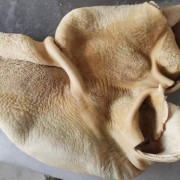 熟牛肚