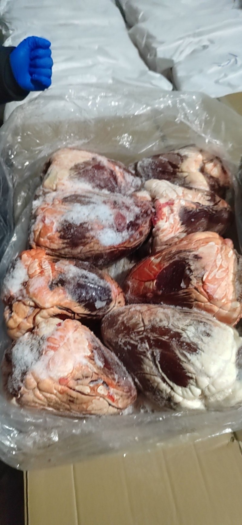 牛心批发河北廊坊市牛心价格_肉交所