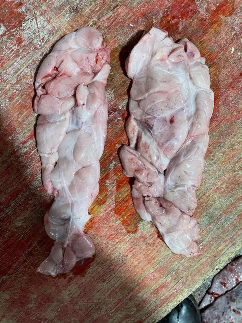 牛胸腺批发福建厦门市牛胸腺价格_肉交所