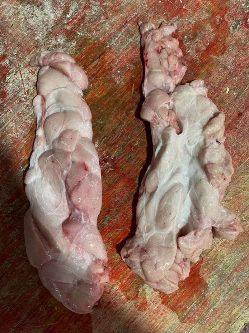 牛胸腺批发福建厦门市牛胸腺价格_肉交所
