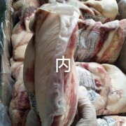4554胸口油