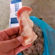 3935月亮骨