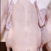 新鲜现杀狮头鹅王