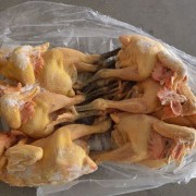 白条鸡