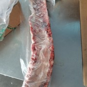 龙骨
