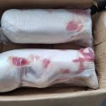 小乳猪