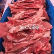 20874尾骨