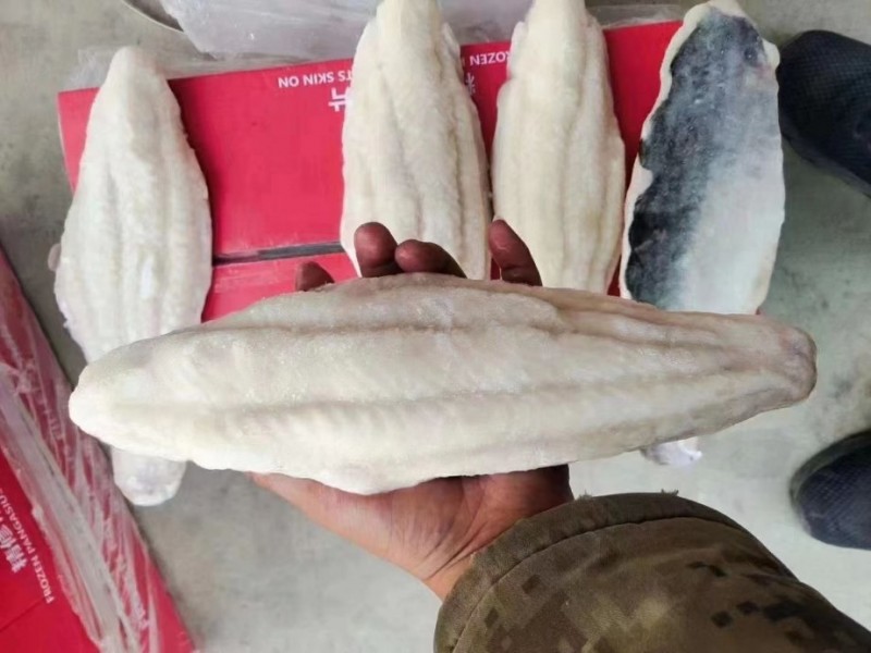 精修带皮巴沙鱼片批发河南郑州市精修带皮巴沙鱼片价格_肉交所
