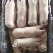 母猪一级蹄12-