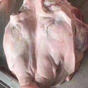 肥猪无耳头