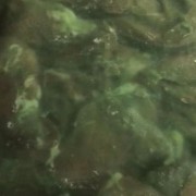 板冻鸭胸