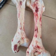 纯圆牛棒骨
