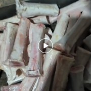 牛骨