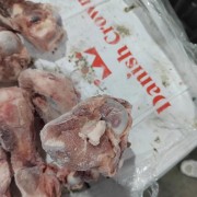 皇冠多肉前腿骨