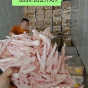 0059A大爪