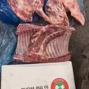 大羊三分体