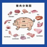 915厂三号肉