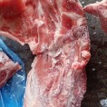 1672多肉颈骨