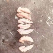 鸡翅尖
